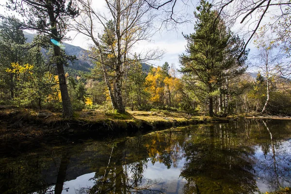 Górski Jesienny Krajobraz Porte Puymorens Cerdanya Pireneje Francja — Zdjęcie stockowe