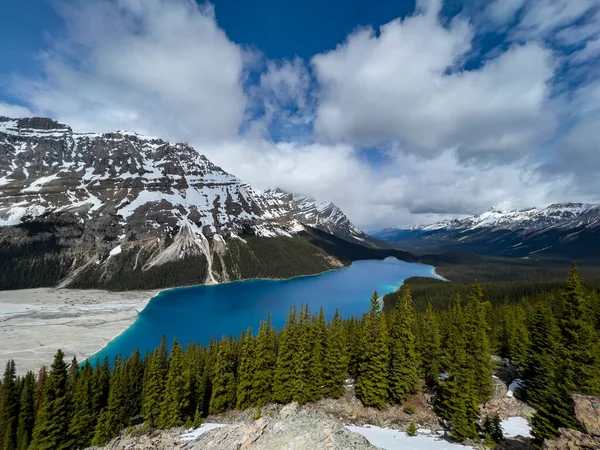 Summer Landscape Peyto Lake Banff National Park Canada — Stock Photo, Image