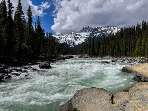 stock image Summer landscape in Mistaya Canyon, Banff National Park in Canada