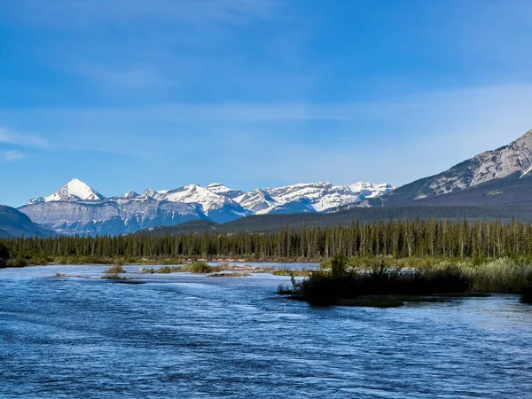 Summer Landscape Banff National Park Canada — Stock Fotó