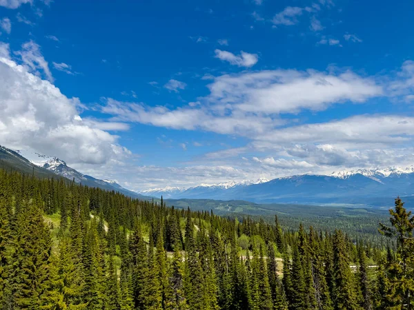 Summer Landscape Golden Gondola British Columbia Canada — Stockfoto
