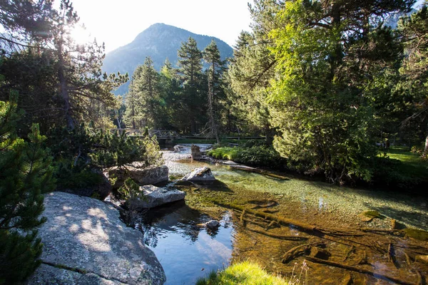 Krajobraz Letni Vall Boi Aiguestortes Park Narodowy Sant Maurici Pireneje — Zdjęcie stockowe