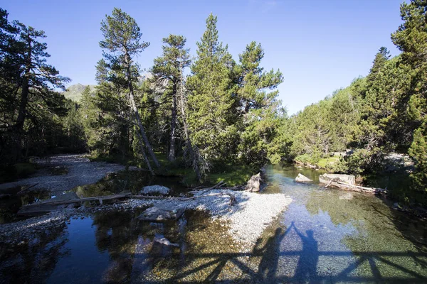 Krajobraz Letni Vall Boi Aiguestortes Park Narodowy Sant Maurici Pireneje — Zdjęcie stockowe