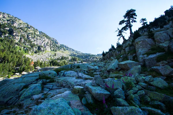 Vall de Boi, Aiguestortes ve Sant Maurici Ulusal Parkı, Pireneler, İspanya