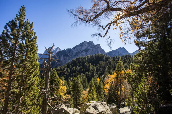 stock image Autumn landscape, Aiguestortes and Sant Maurici National Park, Pyrenees, Spain