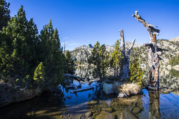 Осінній Пейзаж Національний Парк Атестест Кортес Сант Маурісі Піренеї Іспанія — стокове фото