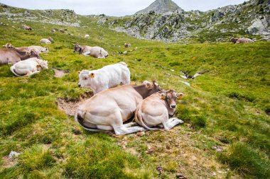 Vall de Boi, Aiguestortes ve Sant Maurici Ulusal Parkı, Pireneler, İspanya