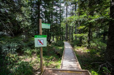 Vall de Boi, Aiguestortes ve Sant Maurici Ulusal Parkı, Pireneler, İspanya