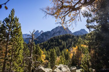 Sonbahar manzarası, Aiguestortes ve Sant Maurici Ulusal Parkı, Pireneler, İspanya