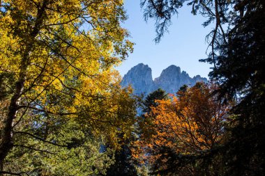 Sonbahar manzarası, Aiguestortes ve Sant Maurici Ulusal Parkı, Pireneler, İspanya