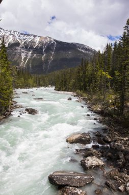 Summer in Natural Bridge, Yoho National Park in Canada