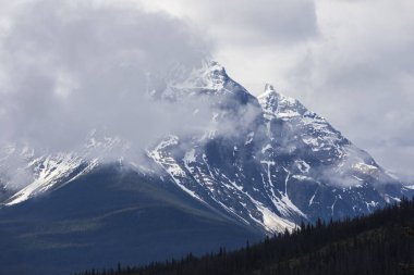 Summer landscape in Jasper National Park in Canada