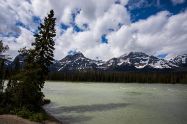Summer landscape in Jasper National Park in Canada