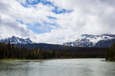 Summer landscape in Jasper National Park in Canada