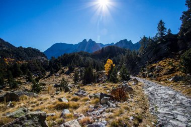 Sonbahar manzarası, Aiguestortes ve Sant Maurici Ulusal Parkı, Pireneler, İspanya