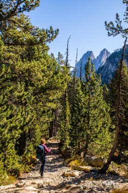 Aiguestortes ve Sant Maurici Ulusal Parkı, Pireneler, İspanya 'da sonbaharda genç bir yürüyüşçü kadın.