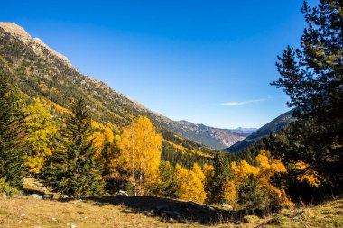 Sonbahar manzarası, Aiguestortes ve Sant Maurici Ulusal Parkı, Pireneler, İspanya