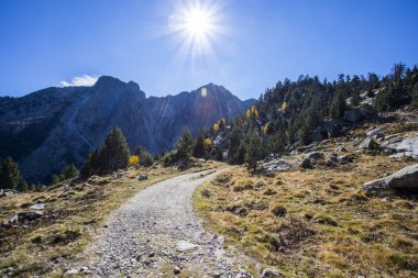 Sonbahar manzarası, Aiguestortes ve Sant Maurici Ulusal Parkı, Pireneler, İspanya