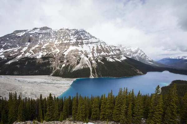 Summer Landscape Peyto Lake Banff National Park Canada — Foto Stock