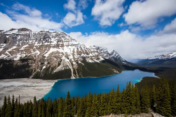 Sommerlandskap Peyto Lake Banff Nasjonalpark Canada – stockfoto