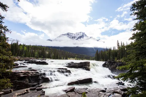 Summer in Athabasca Falls, Jasper National Park, in Canada.