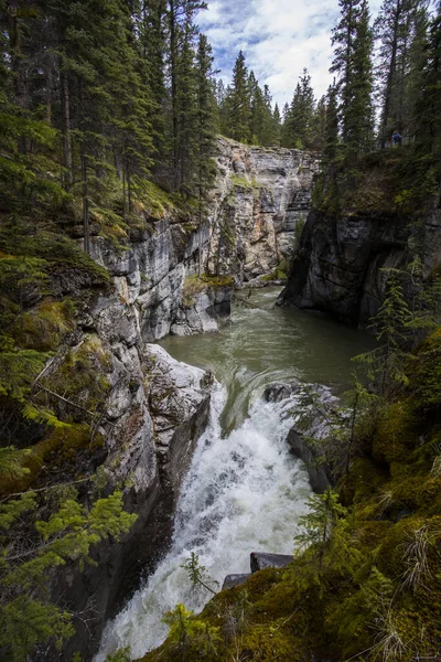 Paysage Estival Dans Canyon Maligne Parc National Jasper Canada — Photo
