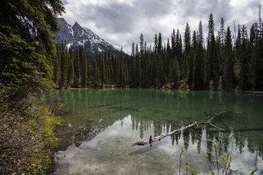 Summer landscape in Emerald lake, Yoho National Park in Canada.