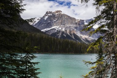 Summer landscape in Emerald lake, Yoho National Park in Canada.