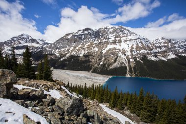 Peyto Gölü 'nde yaz manzarası, Kanada Banff Ulusal Parkı