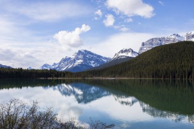Summer landscape in Jasper National Park in Canada