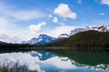 Kanada 'daki Jasper Ulusal Parkı' nda yaz manzarası