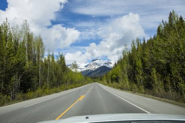 Summer landscape in Jasper National Park in Canada