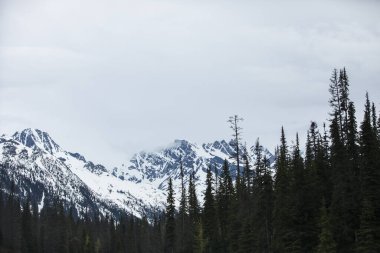 Summer landscape in Glacier National Park, British Columbia in Canada
