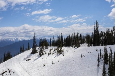 Summer landscape in Glacier National Park, British Columbia in Canada