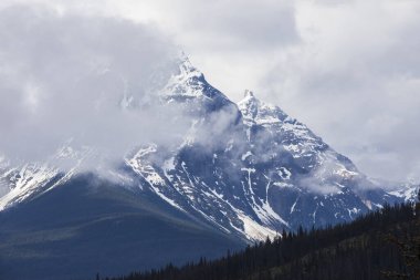 Summer landscape in Jasper National Park in Canada