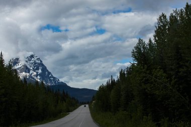 Summer landscape in Jasper National Park in Canada