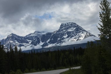 Summer landscape in Jasper National Park in Canada