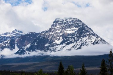 Summer landscape in Jasper National Park in Canada