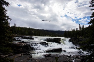 Athabasca Şelalesi 'nde yaz, Jasper Ulusal Parkı, Kanada.