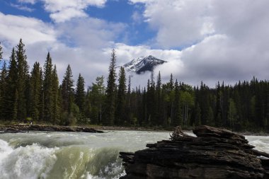 Summer in Athabasca Falls, Jasper National Park, in Canada.