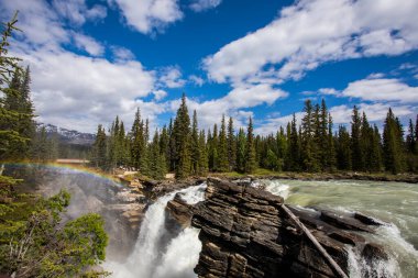 Summer in Athabasca Falls, Jasper National Park, in Canada.