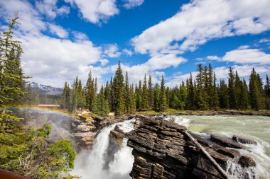Summer in Athabasca Falls, Jasper National Park, in Canada.