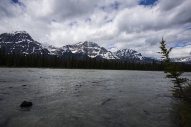 Summer landscape in Jasper National Park in Canada