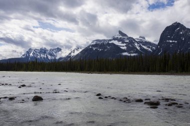 Summer landscape in Jasper National Park in Canada