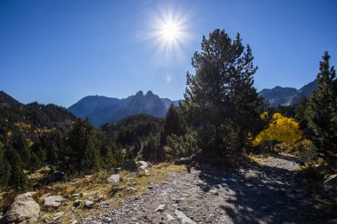 Sonbahar manzarası, Aiguestortes ve Sant Maurici Ulusal Parkı, Pireneler, İspanya