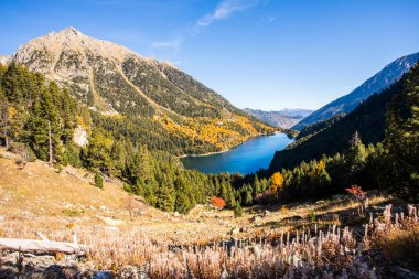 Sonbahar manzarası, Aiguestortes ve Sant Maurici Ulusal Parkı, Pireneler, İspanya