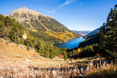 Sonbahar manzarası, Aiguestortes ve Sant Maurici Ulusal Parkı, Pireneler, İspanya