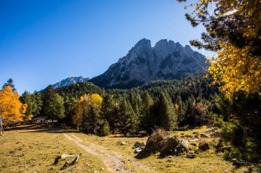 Sonbahar manzarası, Aiguestortes ve Sant Maurici Ulusal Parkı, Pireneler, İspanya