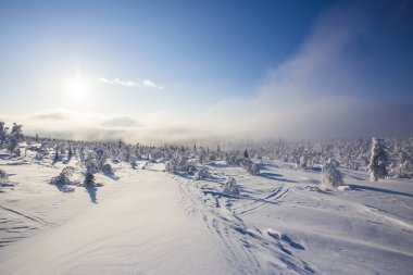 Winter landscape in Pallas Yllastunturi National Park, Lapland, Finland