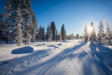 Winter landscape in Pallas Yllastunturi National Park, Lapland, northern Finland.